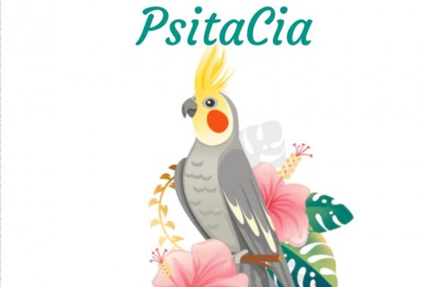 PSITACIA